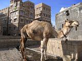 Yemen - Sana'a - 043